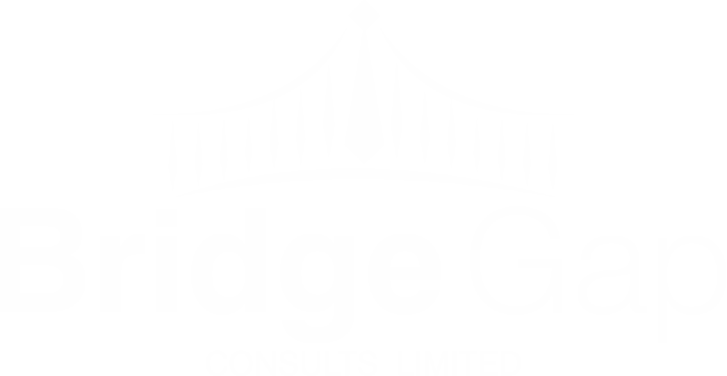 BridgeGap Consults Limited
